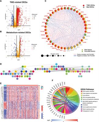 Dissecting gastric cancer heterogeneity and exploring therapeutic strategies using bulk and single-cell transcriptomic analysis and experimental validation of tumor microenvironment and metabolic interplay